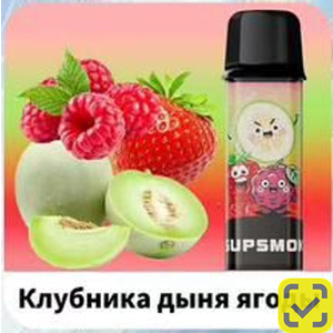 Конфеты SUPSMOK SQUARE 2x3000 Клубника дыня ягоды